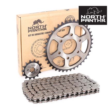 Kit Arrastre Acerado Pulsar Ns 39t+14t 520h-110l